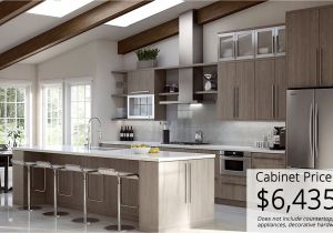 Hampton Bay Cabinets From Home Depot 25 Awesome Home Depot Hampton Bay Kitchen Cabinets Kitchen Cabinet