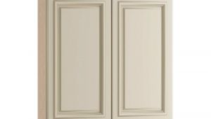 Hampton Bay Cabinets Home Depot Canada Home Decorators Collection Holden assembled 27x30x12 In Double Door