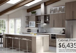 Hampton Bay Cabinets Home Depot Review 25 Awesome Home Depot Hampton Bay Kitchen Cabinets Kitchen Cabinet