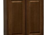 Hampton Bay Cabinets Installation Guide Home Decorators Collection Holden assembled 27x30x12 In Double Door