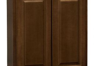 Hampton Bay Cabinets Installation Guide Home Decorators Collection Holden assembled 27x30x12 In Double Door