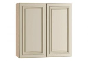 Hampton Bay Cabinets Installation Guide Home Decorators Collection Holden assembled 27x30x12 In Double Door