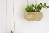 Hanging Fruit Basket Ikea Diy Seagrass Hanging Planters Blumen Aufhangen Pinterest