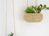 Hanging Fruit Basket Ikea Diy Seagrass Hanging Planters Blumen Aufhangen Pinterest