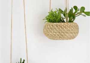 Hanging Fruit Basket Ikea Diy Seagrass Hanging Planters Blumen Aufhangen Pinterest