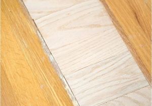 Hardwood Floor Refinishing Tampa Wood Floor Repair Miami Fl Gurus Floor
