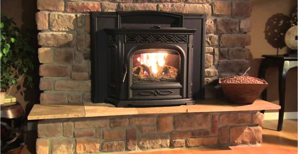 Harman Accentra 52i Pellet Insert for Sale Enchanting Cape Wood Stove Insert Home Englander Fireplace town