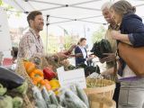 Health Food Stores Reno Sell Your Homegrown Produce at A Farmers Market