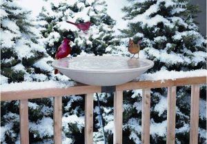 Heated Bird Bath Menards Boutique Lenaturaliste Bain Chauffant 20 39 39 Bain