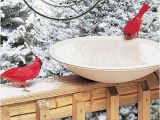 Heated Bird Bath Menards Help Your Feathered Friends Survive the Cold with Heated