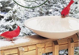 Heated Bird Bath Menards Help Your Feathered Friends Survive the Cold with Heated