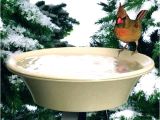 Heated Bird Bath Menards Menards Trees and Shrubs Menards Trees and Bushes