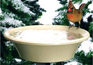 Heated Bird Bath Menards Menards Trees and Shrubs Menards Trees and Bushes