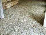 High Performance Carpet Cleaning Yuba City Ca Customers Loved How Clean the Carpet Was Yelp