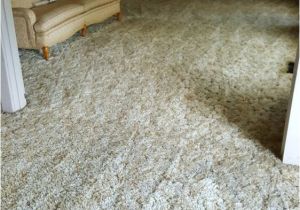 High Performance Carpet Cleaning Yuba City Ca Customers Loved How Clean the Carpet Was Yelp