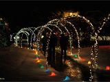 Holiday Light Show atlanta Botanical Gardens Inspirational Botanical Gardens Lights Hours