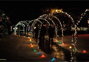 Holiday Light Show atlanta Botanical Gardens Inspirational Botanical Gardens Lights Hours