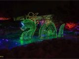 Holiday Light Show atlanta Botanical Gardens New Botanical Gardens Night Lights