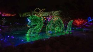 Holiday Light Show atlanta Botanical Gardens New Botanical Gardens Night Lights