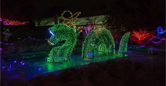 Holiday Light Show atlanta Botanical Gardens New Botanical Gardens Night Lights