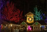 Holiday Light Show atlanta Botanical Gardens top 10 Places Around atlanta to Celebrate the Holidays