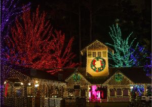 Holiday Light Show atlanta Botanical Gardens top 10 Places Around atlanta to Celebrate the Holidays