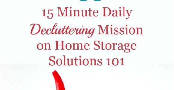 Home Storage solutions 101 Quick Declutter365 Mission to Declutter Car Care Products and Auto