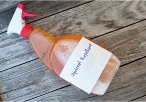 Homemade Bird Repellent Spray How to Make Homemade Squirrel Repellent with Pictures Ehow