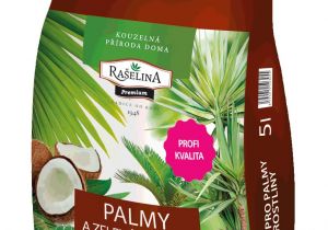 Homemade Fertilizer for Palm Trees Palm Tree and Green Plant Substrate Raa Elina A S