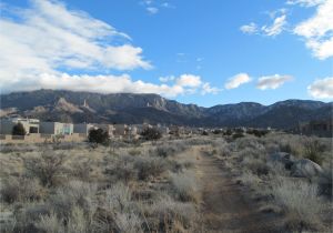 Homes for Sale In High Desert Albuquerque High Desert Neighborhood In Albuquerque