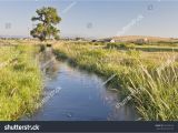 Horizon Irrigation Near Me Irrigation Ditch Colorado Farmland Near fort Stock Photo Edit now