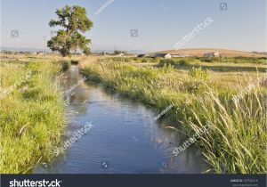 Horizon Irrigation Near Me Irrigation Ditch Colorado Farmland Near fort Stock Photo Edit now