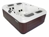 Hot Tub Ozonator Pros and Cons Bullfrog Hot Tubs Review for some Series with Pros and Cons