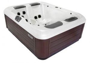 Hot Tub Ozonator Pros and Cons Bullfrog Hot Tubs Review for some Series with Pros and Cons