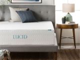 How Much Does A Full Size Memory Foam Mattress Weigh Lucid 14 Plush Memory Foam Mattress Reviews Wayfair Ca