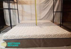 How Much Does A Tempur Pedic King Mattress Weigh Casper Vs Tempurpedic Vs Novosbed Mattress Review Mattress Reviews