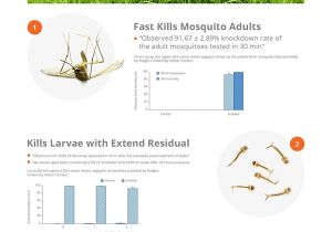 How to Get Rid Of Mosquito Larvae In Standing Water Amazon Com Ecoraider Mosquito Killer Hose End Spray 32 Oz 3 In 1