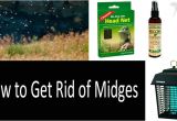 How to Get Rid Of Noseeum Bites 10 Ways to Protect Yourself From Midges top 8 Best