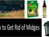How to Get Rid Of Noseeum Bites 10 Ways to Protect Yourself From Midges top 8 Best