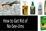 How to Get Rid Of Noseeum Bites No See Ums top 9 Repellents Traps Zappers and Special
