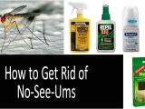 How to Get Rid Of Noseeum Bites No See Ums top 9 Repellents Traps Zappers and Special