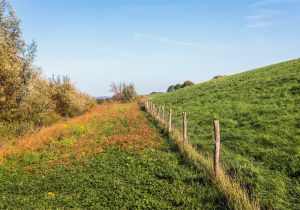 How to Install Chain Link Fence On Uneven Ground A Straight Fence Using A String Home Guides Sf Gate