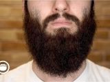 How to Make Your Beard soft before Shaving How to Straighten A Wild Curly Beard Yeard Week 21 Youtube