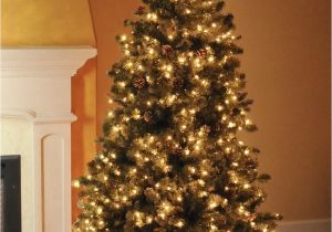 How to Restring A Pre Lit Christmas Tree Best 28 How to Restring Lights On A Prelit Christmas