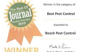 Ia Il Termite Pest Control Davenport Bosch Pest Control