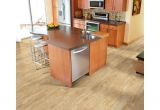 Invincible H2o Vinyl Plank Flooring Reviews Downs H2o Vinyl Plank Flooring Shapeyourminds Com