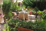 Jardines Pequeños Para Frentes De Casas Con Piedras Decorar Tu Jardin Como Decorar El Jardin Del Frente De Mi Casa