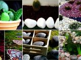 Jardines Pequeños Para Frentes De Casas Con Piedras Decorar Tu Jardin Como Decorar El Jardin Del Frente De Mi Casa