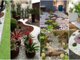 Jardines Pequeños Para Frentes De Casas Con Piedras Decorar Tu Jardin Como Decorar El Jardin Del Frente De Mi Casa