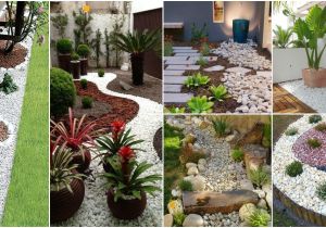 Jardines Pequeños Para Frentes De Casas Con Piedras Decorar Tu Jardin Como Decorar El Jardin Del Frente De Mi Casa